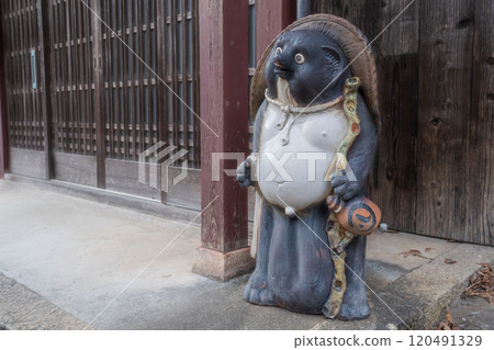 Shigaraki商品浣熊的裝飾品 120491329