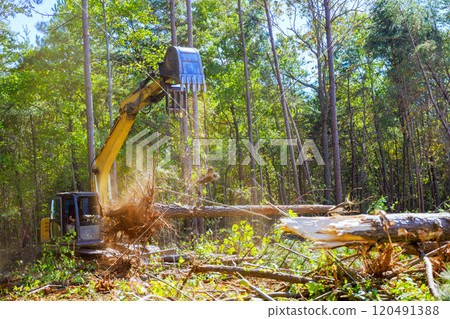 As preparation for construction of new structure, trees are uprooted using an excavator by contractor 120491388