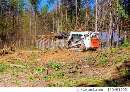 Trees are uprooted when contractor to prepare land for construction Trees are uprooted when contractor to prepare land for construction 120491395