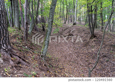 A moat-like passage remaining in Hanihara Castle 120491560