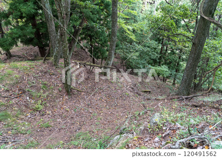 Hanihara Castle Ruins: Continuous vertical moat 120491562