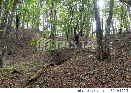 Hanihara Castle Ruins: A series of moats remaining along the ridge 120491565