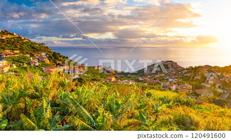 Taditional Madeiran houses in Funchal behind a banana plantation and ocean sunset. Taditional Madeiran houses in Funchal behind a banana plantation and ocean sunset. 120491600