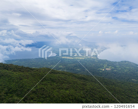 Green rainforest Ometepe island 120491654