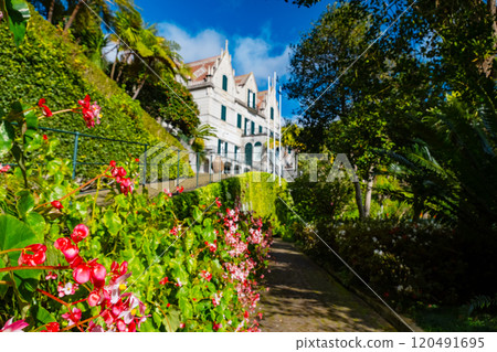 A serene white house in a picturesque setting, accessed via a garden path lined with vibrant flowers under sunlight 120491695