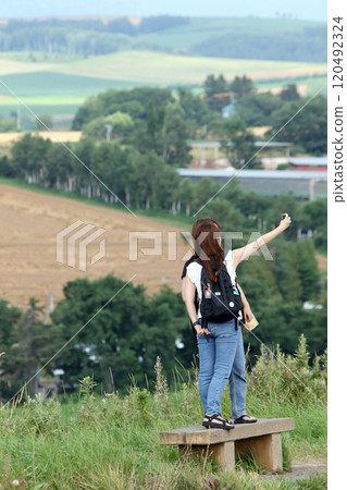 美瑛丘陵美瑛丘陵 美瑛丘陵美瑛丘陵 120492324