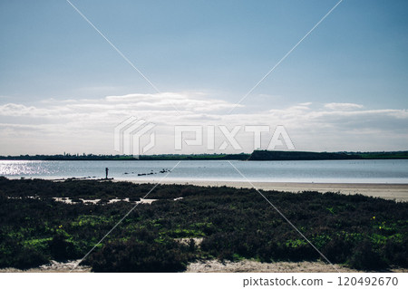 view of the salt lake where flamingos live, Larnaca, Cyprus 120492670