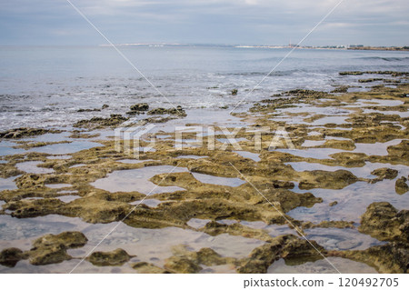 a textured landscape of wet, rocky terrain with shallow pools of water, surface appears rugged and uneven, showcasing natural erosion patterns a textured landscape of wet, rocky terrain with shallow pools of water, surface appears rugged and uneven, showcasing natural erosion patterns 120492705