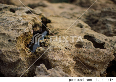 a textured landscape of wet, rocky terrain with shallow pools of water, surface appears rugged and uneven, showcasing natural erosion patterns a textured landscape of wet, rocky terrain with shallow pools of water, surface appears rugged and uneven, showcasing natural erosion patterns 120492716