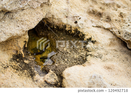 a textured landscape of wet, rocky terrain with shallow pools of water, surface appears rugged and uneven, showcasing natural erosion patterns a textured landscape of wet, rocky terrain with shallow pools of water, surface appears rugged and uneven, showcasing natural erosion patterns 120492718