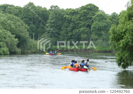 Canoeing down the Kushiro River, Kushiro Marsh Sightseeing, Kushiro Marsh, Kushiro River 120492760