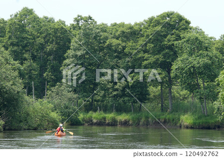 Canoeing down the Kushiro River, Kushiro Marsh Sightseeing, Kushiro Marsh, Kushiro River 120492762