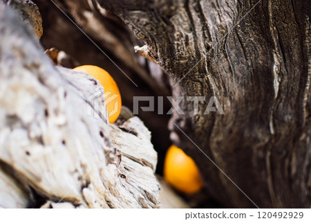 a monastery in the Mediterranean style of Ayia Napa, Cyprus a monastery in the Mediterranean style of Ayia Napa, Cyprus 120492929