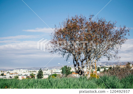view from the hill to the city of Ayia Napa, Cyprus view from the hill to the city of Ayia Napa, Cyprus 120492937