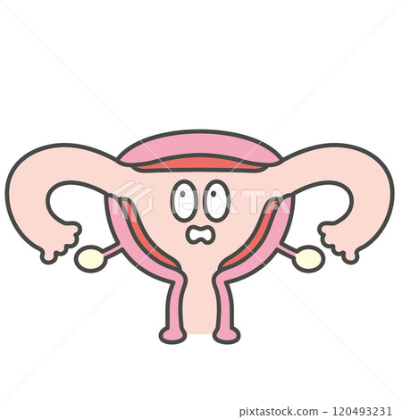 Uterus character illustration 120493231
