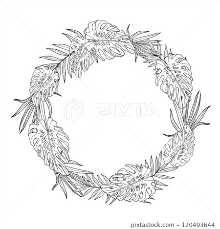 Vector monochrome monstera and palm plant vector wreath with empty space for text. Tropical areca, Cycas house plant line art black ink sketch. Floral illustration for greeting cards, invitation. 120493644