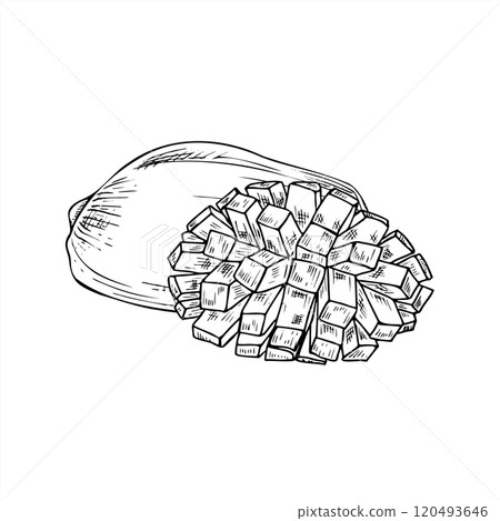 Whole and half mango with cubes vector line art black and white ink sketch. Aromatic juicy fruit monochrome hand drawn flat. Floral composition for healthy dessert or beverage decor, coloring book. 120493646