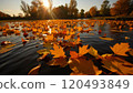 breathtaking autumn scene at a lake 120493849