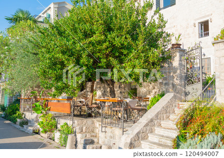 A family outdoor cafe with shaded trees, stone walls, and cozy tables, offering a warm and inviting dining experience. 120494007