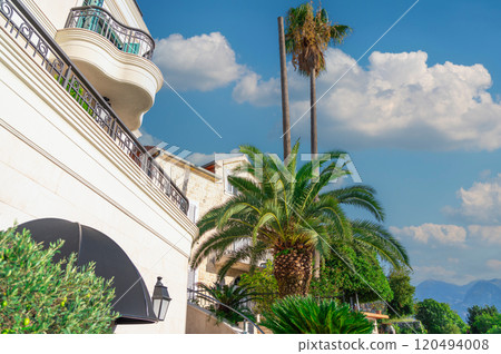 A Mediterranean-style villa surrounded by tall palm trees and lush greenery, set under a bright blue sky, offering a tropical retreat. 120494008