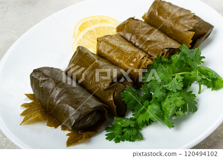 dolma, minced meat with rice, in grape leaves, rolls with minced meat, on a white plate, top view, no people, dolma, grape leaves with filling, dolma, minced meat with rice, in grape leaves, rolls with minced meat, on a white plate, top view, no people, dolma, grape leaves with filling, 120494102