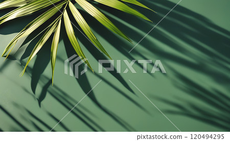 Palm leaf on a green surface with shadow Palm leaf on a green surface with shadow 120494295