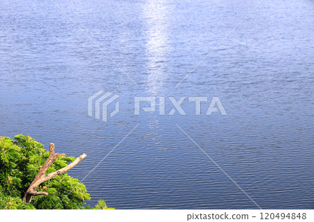 Water surface background with sun reflections. Aerial view of Waves on Water surface with Defocus blurred green Tree at the corner. 120494848