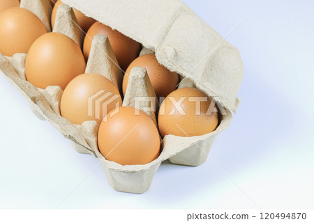 raw of chicken eggs in egg box Made from recycle material in nature light. 120494870