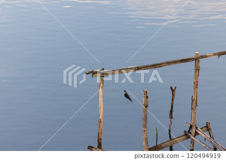 abandoned molder wooden house, Ruins of wood buildings near the shore of the lake. 120494919