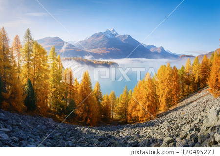 Autumn landscape in Switzerland. Sunrise in the mountains. Fog and fall forest. 120495271