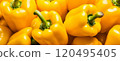 Yellow Bell Pepper, fresh and healthy vegetable texture background. 120495405