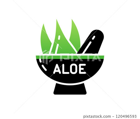 Eco business Aloe Vera Icon, Juice Plate with Flower and text aloe, Stylish Gradient in a vector 120496593