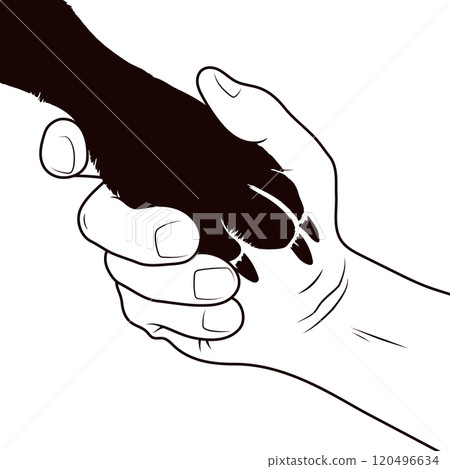 Pet paw in human hand 120496634