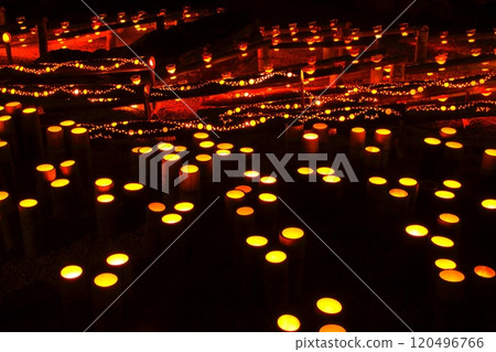 臼杵竹生（臼杵市） 120496766