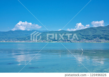 [諏訪湖（從湖濱公園出發）] 長野縣諏訪市高島 120496826