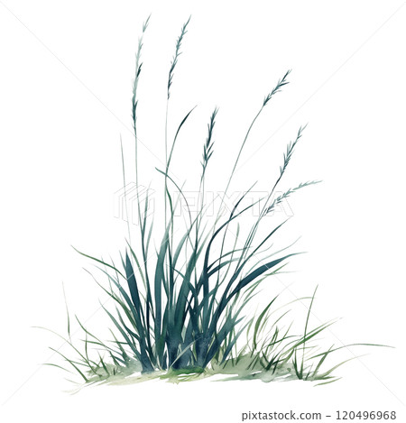 Watercolor illustration of grass blades on a transparent background. Perfect for natural design projects, eco-themed artwork, botanical illustrations, and minimalist nature-inspired compositions. 120496968