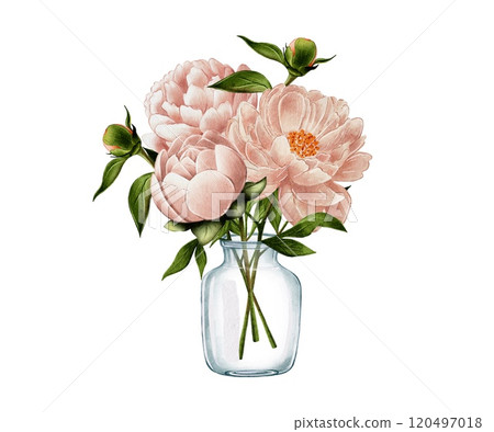 Bouquet of peonies in a glass vase 120497018