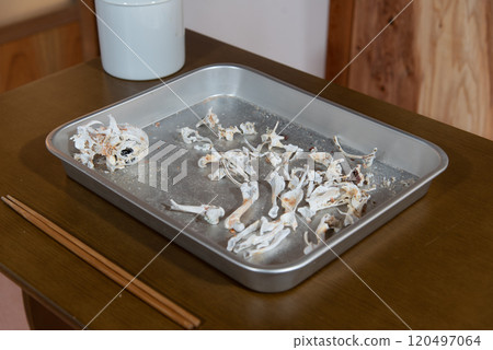 Bones, Cremation, Pet Cremation, Memorial Service 120497064