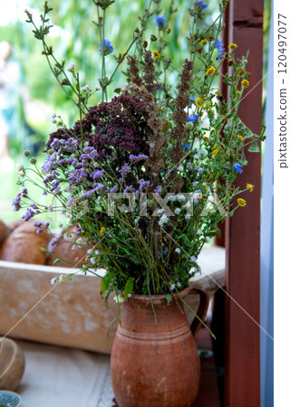 wild flower bouquet. Gathering wildflowers, bunch of mixed blooming white flowers, summer wild flower bouquet. Gathering wildflowers, bunch of mixed blooming white flowers, summer 120497077