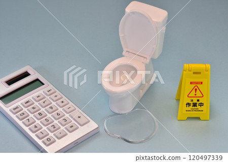 New construction, used house, renovation, toilet, water leak, repair, estimate image New construction, used house, renovation, toilet, water leak, repair, estimate image 120497339