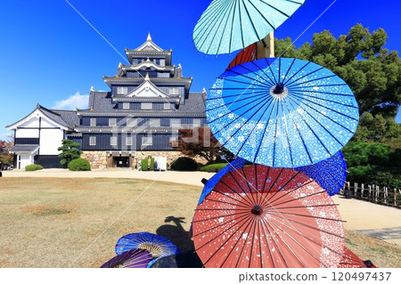 [Okayama Prefecture] Okayama Castle's castle tower in autumn colors (after major renovation in the Reiwa era) 120497437