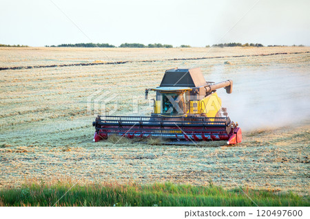 The harvester is harvesting wheat in the field. grain preparation. agronomy and agriculture. The harvester is harvesting wheat in the field. grain preparation. agronomy and agriculture. 120497600