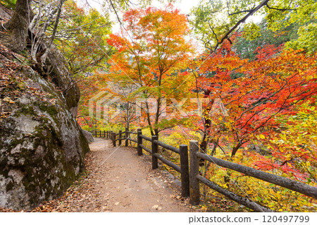 Shosenkyo in autumn Shosenkyo in autumn 120497799