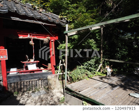 貓胡同的風景 120497915