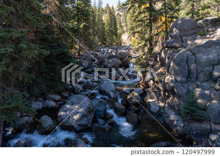 Serene Forest Stream and Rocks in Yellowstone National Park's Scenic Wilderness. 120497999
