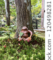 Japanese youkai 120498281