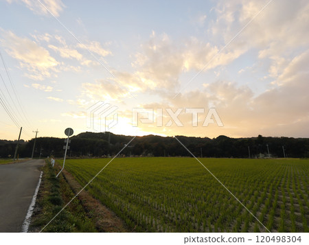 11 月傍晚，烏山線小和和站的夜景 120498304