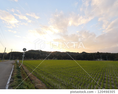 Evening view from Kobana Station on the Karasuyama Line in a November evening 120498305