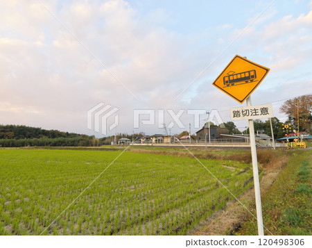 烏山線小花站 11月晚上 120498306