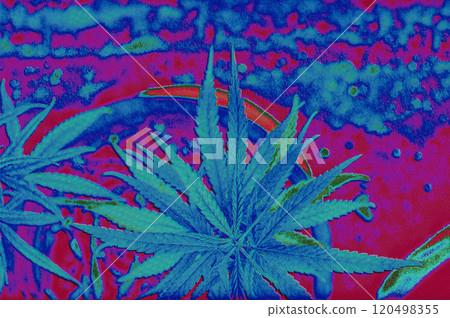 Fantasy cannabis narcotic and trippy illustration (dark cannabis) 120498355